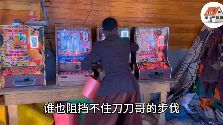 DB电子汪财金宝全新玩法揭秘 财富好运与萌犬相伴